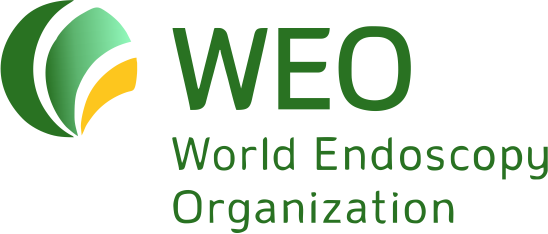 Всемирная эндоскопическая организация (WEO)