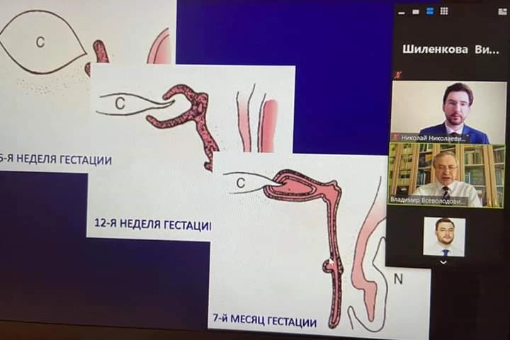 
                                                                             Медзнания.Вебинар 1 Ежегодной Конференции Российского Общества Ринологов. Дакриология детского возраста
                                                                              