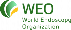 Всемирная эндоскопическая организация (WEO)